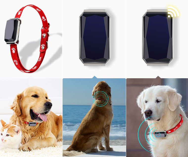GPS Pet Tracking Collar