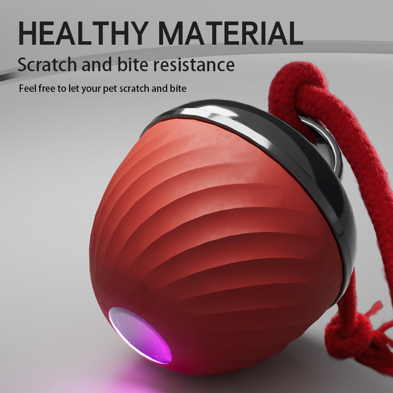 Smart Interactive Moving Pet Ball