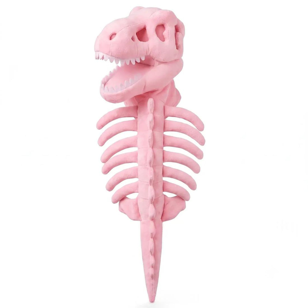 Dinosaur Skeleton Pet Costume