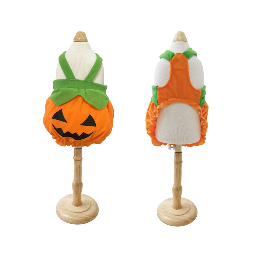 Pumpkin Pet Halloween Costume