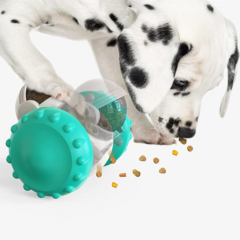 Slow-Feeder Interactive Balance Toy