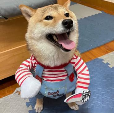 Scary Killer Dog Halloween Costume