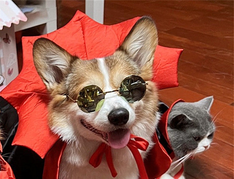 Vampire Cape Pet Halloween Costume
