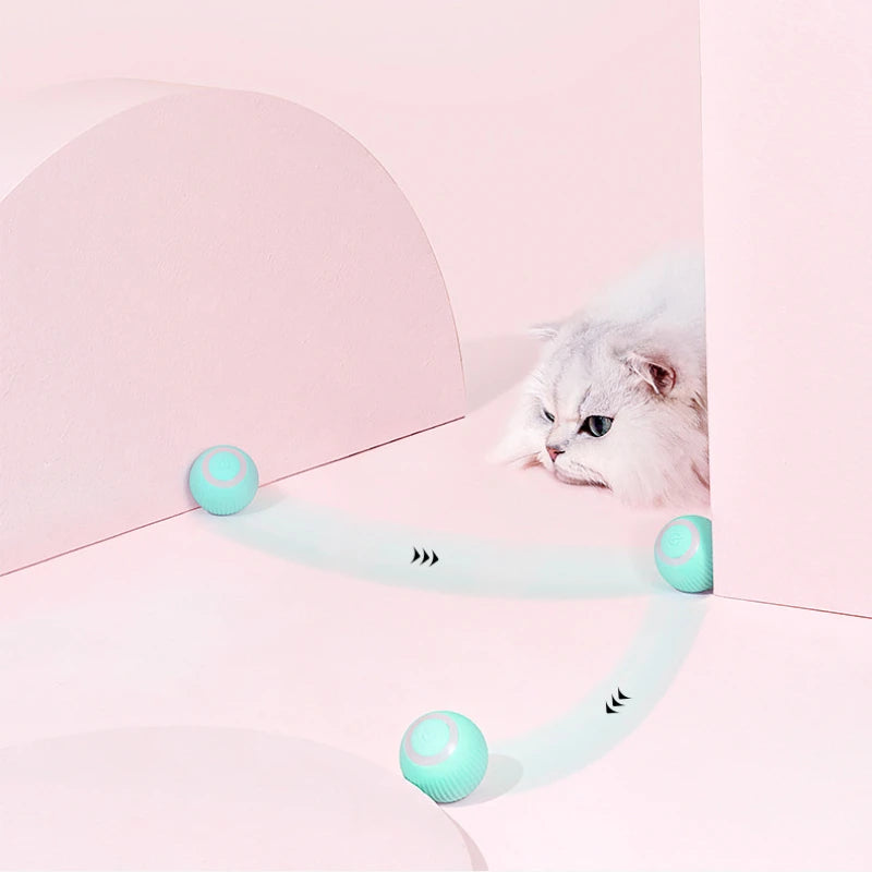 Remote-Control Interactive Cat Car Toy