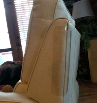 Cat Claw Sofa Protector Pads