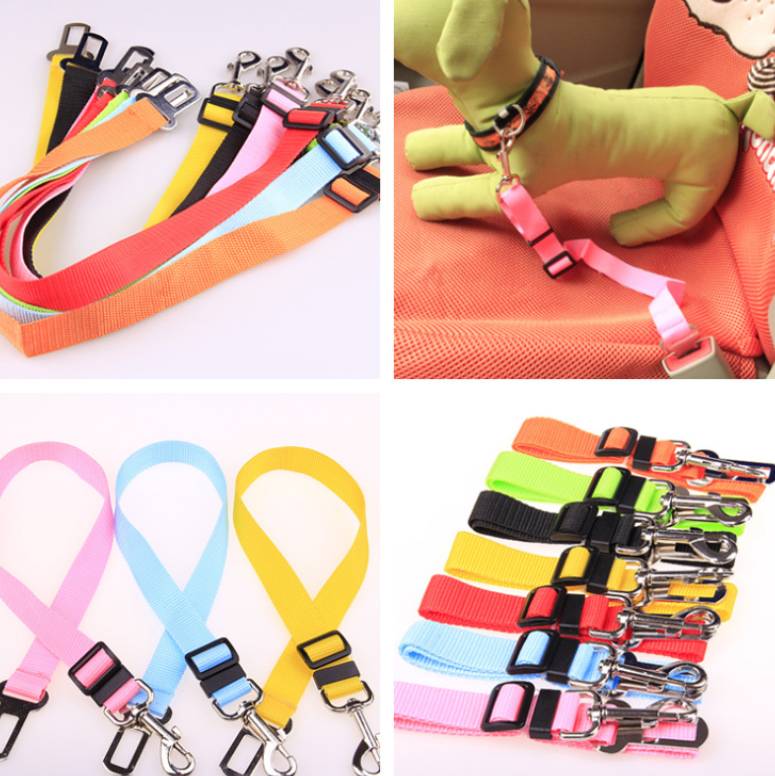 Adjustable Dog Leash