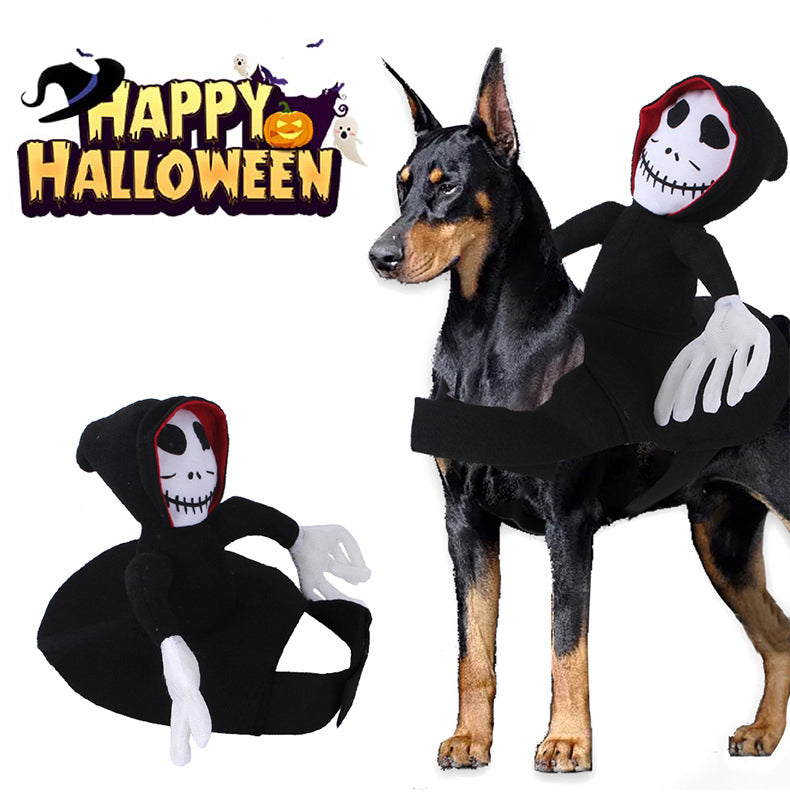 Spider & Pumpkin Pet Halloween Costume