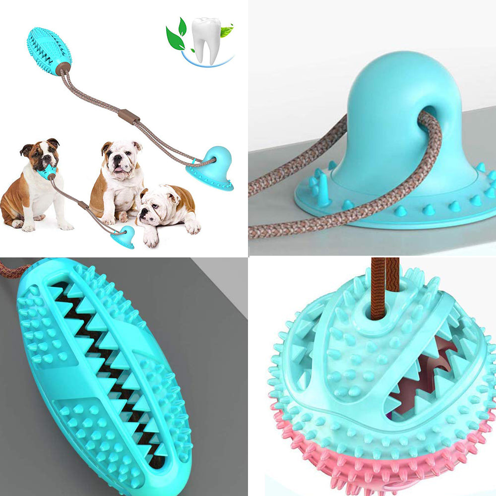 Suction-Cup Tug Dog Toy