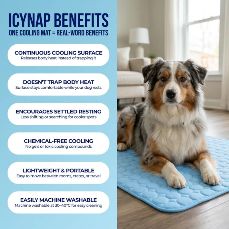 Summer Cooling Pet Mat