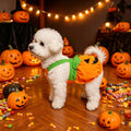 Pumpkin Pet Halloween Costume