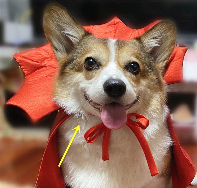 Vampire Cape Pet Halloween Costume