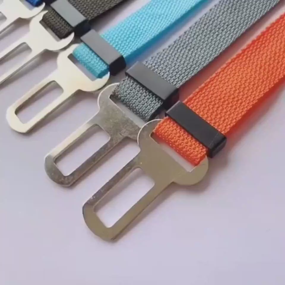 Adjustable Dog Leash
