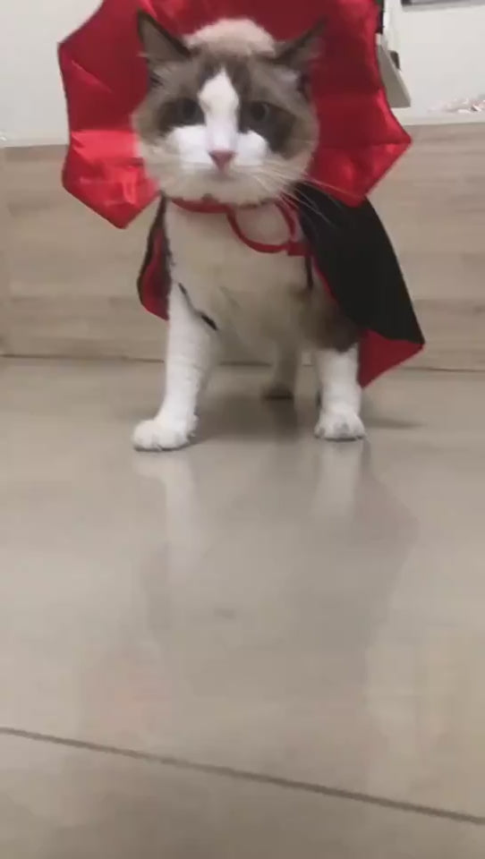 Vampire Cape Pet Halloween Costume