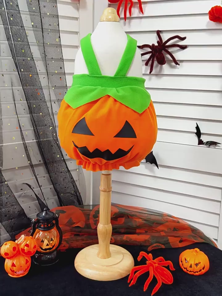 Pumpkin Pet Halloween Costume