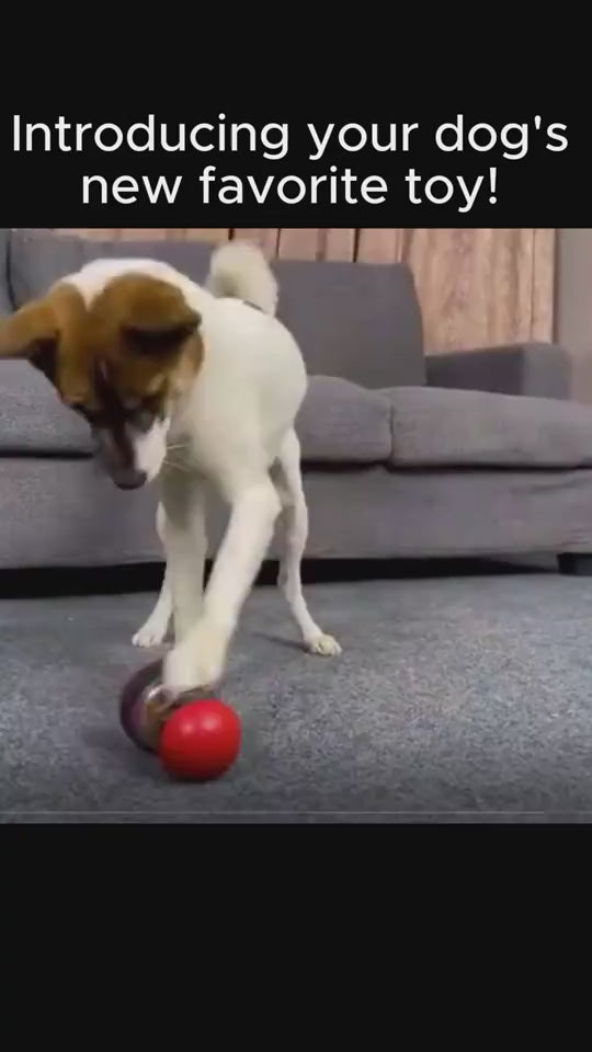 Food-Dispensing Tumbler Dog Toy