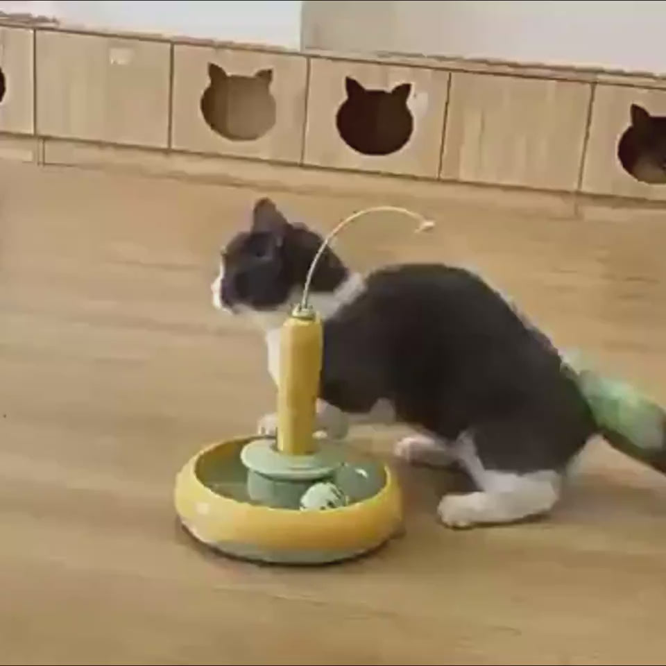 2-in-1 Cat Turntable Toy
