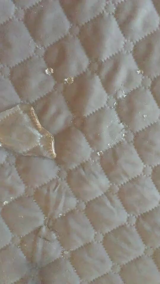 Dog Sofa Bed & Furniture Protector